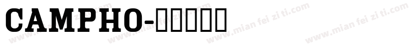 campho字体转换