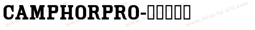 camphorpro字体转换