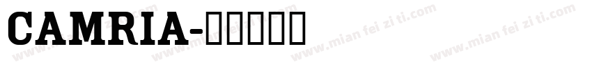 camria字体转换