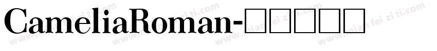 CameliaRoman字体转换