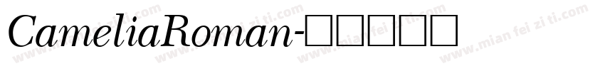 CameliaRoman字体转换