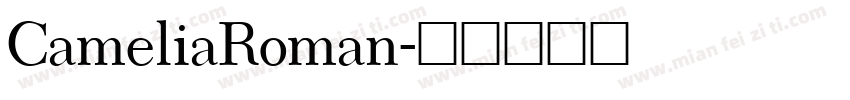 CameliaRoman字体转换