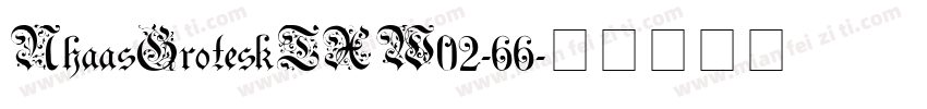 NhaasGroteskTXW02-66字体转换