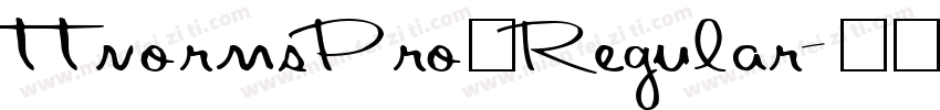 ttnormsPro一Regular字体转换