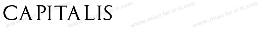 capitalis字体转换