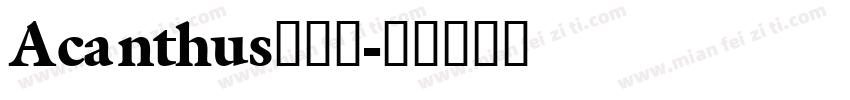 Acanthus手机版字体转换