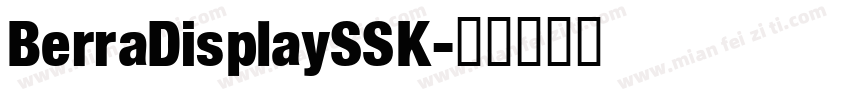 BerraDisplaySSK字体转换