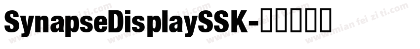 SynapseDisplaySSK字体转换