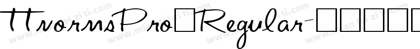 ttnormsPro一Regular字体转换