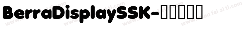 BerraDisplaySSK字体转换