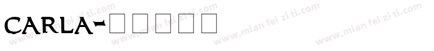 carla字体转换