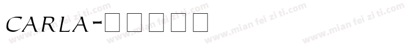 carla字体转换
