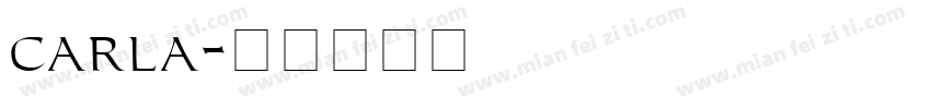 carla字体转换