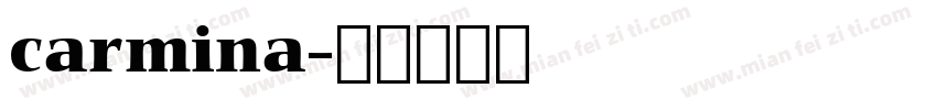 carmina字体转换