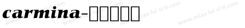 carmina字体转换