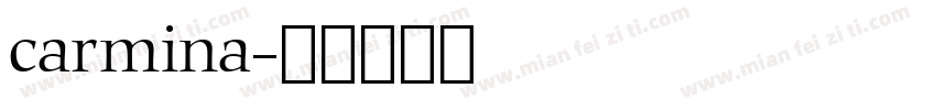 carmina字体转换