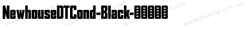 NewhouseDTCond-Black字体转换