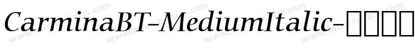 CarminaBT-MediumItalic字体转换