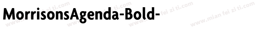 MorrisonsAgenda-Bold字体转换