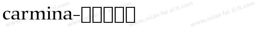 carmina字体转换