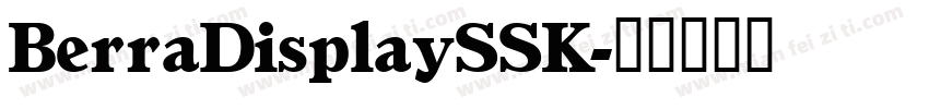 BerraDisplaySSK字体转换