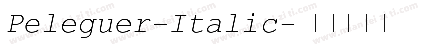 Peleguer-Italic字体转换