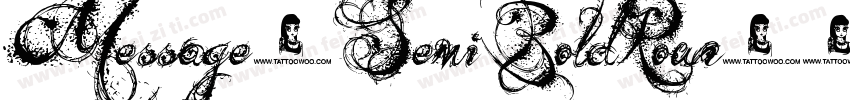 Message-SemiBoldRoun字体转换