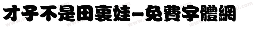 才子不是田里娃字体转换