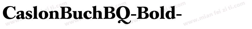 CaslonBuchBQ-Bold字体转换