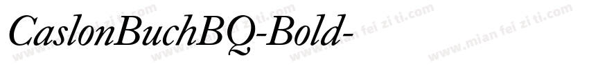 CaslonBuchBQ-Bold字体转换