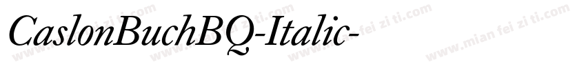 CaslonBuchBQ-Italic字体转换