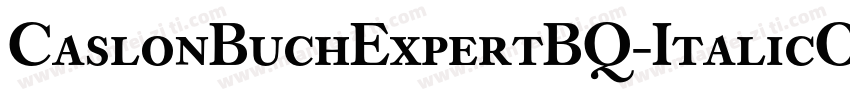 CaslonBuchExpertBQ-ItalicOsF字体转换