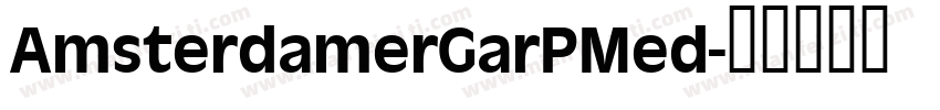 AmsterdamerGarPMed字体转换