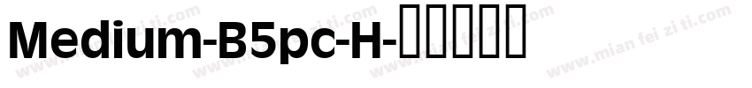 Medium-B5pc-H字体转换