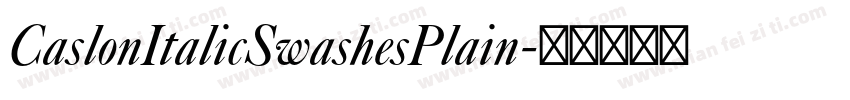 CaslonItalicSwashesPlain字体转换