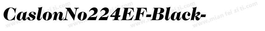 CaslonNo224EF-Black字体转换