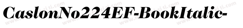 CaslonNo224EF-BookItalic字体转换