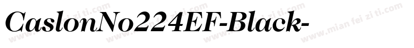 CaslonNo224EF-Black字体转换