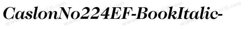 CaslonNo224EF-BookItalic字体转换