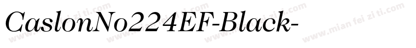 CaslonNo224EF-Black字体转换