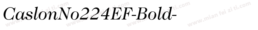 CaslonNo224EF-Bold字体转换