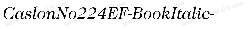 CaslonNo224EF-BookItalic字体转换