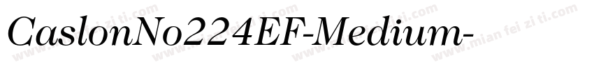 CaslonNo224EF-Medium字体转换