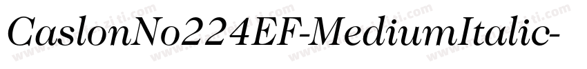 CaslonNo224EF-MediumItalic字体转换