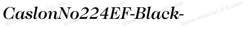 CaslonNo224EF-Black字体转换