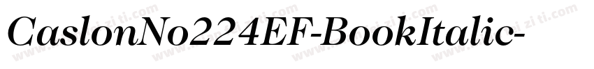 CaslonNo224EF-BookItalic字体转换