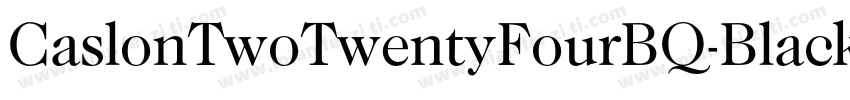 CaslonTwoTwentyFourBQ-BlackItalic字体转换