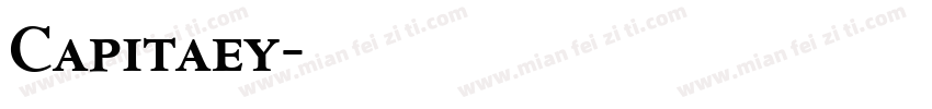 Capitaey字体转换