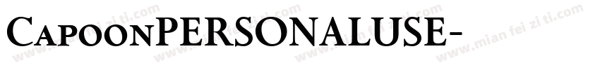 CapoonPERSONALUSE字体转换