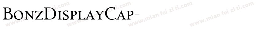 BonzDisplayCap字体转换